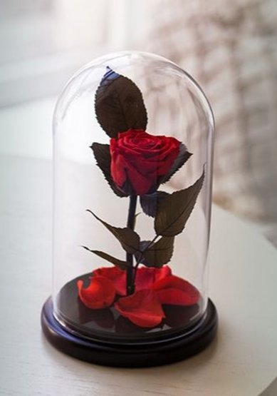 ALLURE ROSE MINI Т9910 - Салон цветов Турлова Юлия