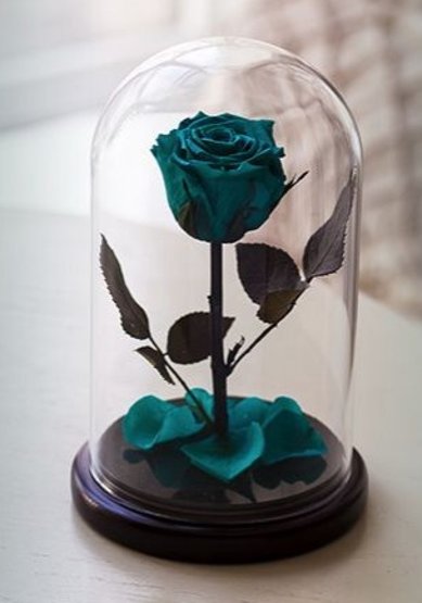 AQUAMARINE ROSE MINI Т9911 - Салон цветов Турлова Юлия