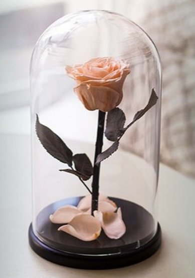 CHLOE ROSE PREMIUM Т9912 - Салон цветов Турлова Юлия