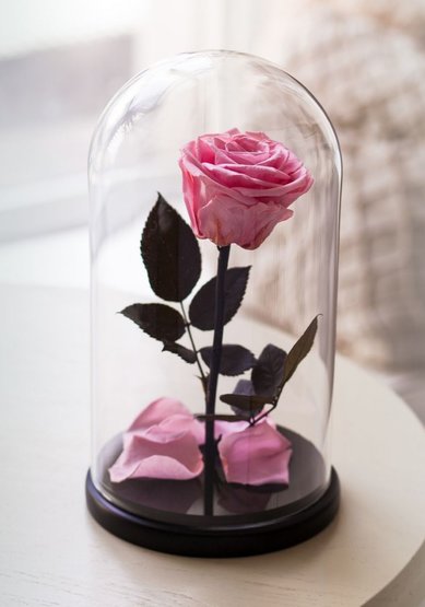 PRINCESS ROSE PREMIUM Т9913 - Салон цветов Турлова Юлия