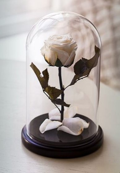 FOREVER ROSE MINI Т9914 - Салон цветов Турлова Юлия