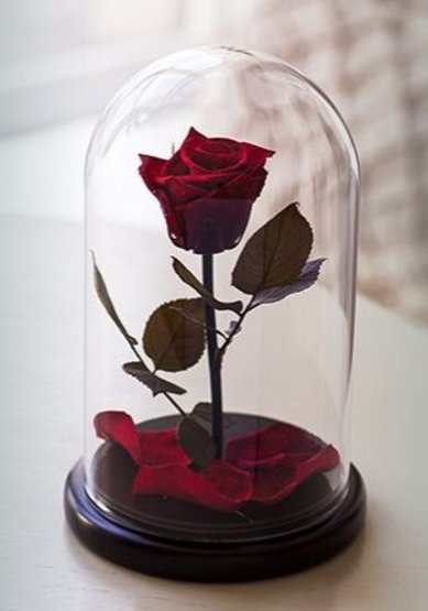 LILITH ROSE MINI Т9915 - Салон цветов Турлова Юлия