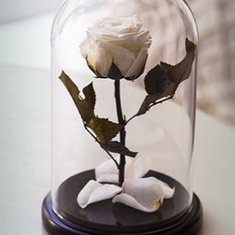 Цветочная композиция Т9914