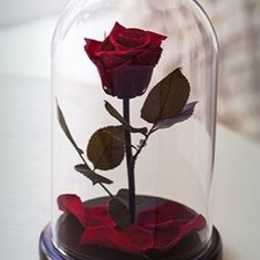 Цветочная композиция Т9915