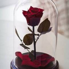 Салон цветов Турлова Юлия